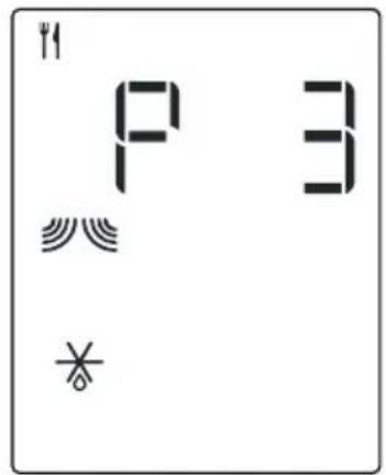 P 3 *