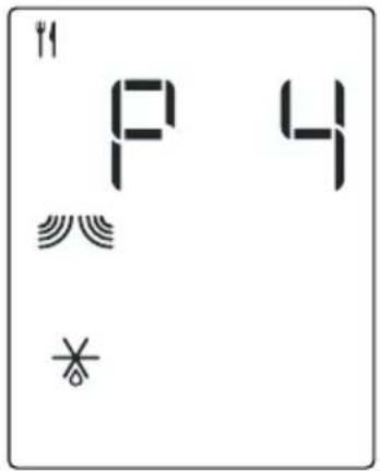 P 4
