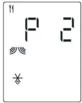 P 2
