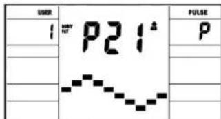 Christopeit RS 3 - PROGRAMME 1:Manuel - 19