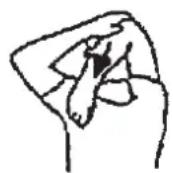 Christopeit Lago - UnpaXHeHnIpa3MHKnpepeTpneHnpOBKo - 1