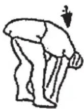 Christopeit Lago - Zahrvacicen (zahrati) - 2