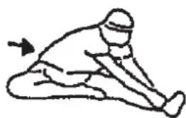 Christopeit CX 7 - Warm up exercises (Warm Up) - 3