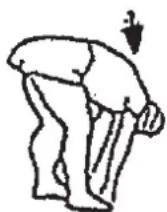 Christopeit CX 7 - Warm up exercises (Warm Up) - 2