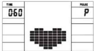 Christopeit CT 3 - TEST-Pulse Recovery: - 1