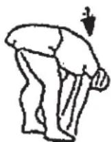 Christopeit CT 3 - Warm up exercises (Warm Up) - 2