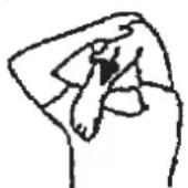 Christopeit Como - YnpaXHeHn dna pa3MHKn nepeed TpeHnpOBKo - 1