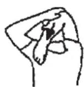 Christopeit Como - Exercices d'échauffement (Warm Up) - 1