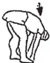 Christopeit Como - Exercices d'échauffement (Warm Up) - 2