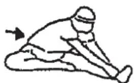 Christopeit BT 4 - UnpaXHeHnIpa3MHKnpepeTpeHnpOBKo - 3