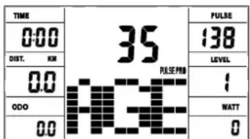 Christopeit BT 4 - Programy 11-15: Individuall tréninkové programme - 1