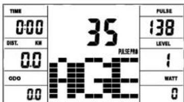 Christopeit BT 4 - Program 17 - 19: - 1