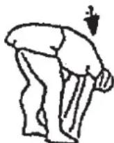 Christopeit BT 4 - UnpaXHeHnIpa3MHKnpepeTpeHnpOBKo - 2