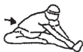 Christopeit BLUE T2 - Warm up exercises (Warm Up) - 3