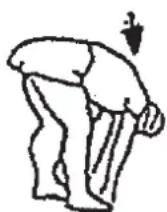 Christopeit BLUE T2 - Warm up exercises (Warm Up) - 2