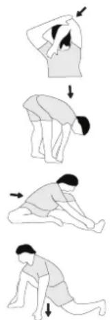 Christopeit Accord - Example - stretching exercises for the warm-up and cool-down phases - 1