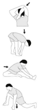 Christopeit Accord - Beispiel - Dehnübungen für die Aufwärm/- und Abkühl-Phasen - 1