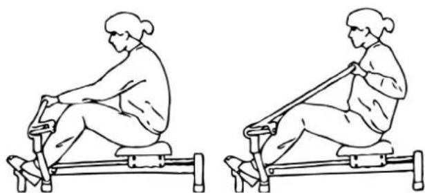 Christopeit Accord - Training of biceps (front upper arms) - 1