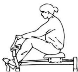 Christopeit Accord - Trénuje bicepsové svaly (přední strana nadloktí) - 1