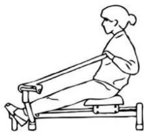 Christopeit Accord - VYTAHOVÁNÍ A PROTAHOVÁNÍ - 1