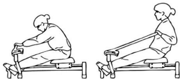 Christopeit Accord - Training of hips, upper arms, back and abdominal muscles - 1