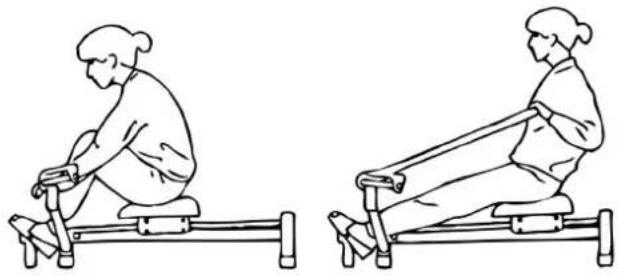 Christopeit Accord - Note spéciale: - 1