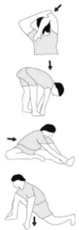 Christopeit Accord - Příklad - protahovací cvičení pro fázi zahřivání a ochlazování - 1