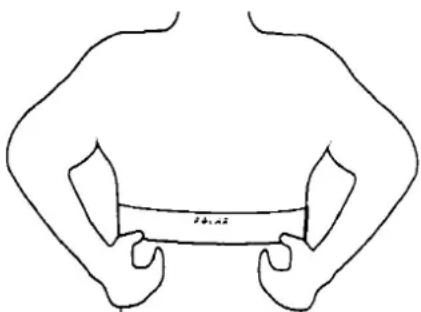 TUNTURI J77P - HEART-RATE MEASUREMENT - 2