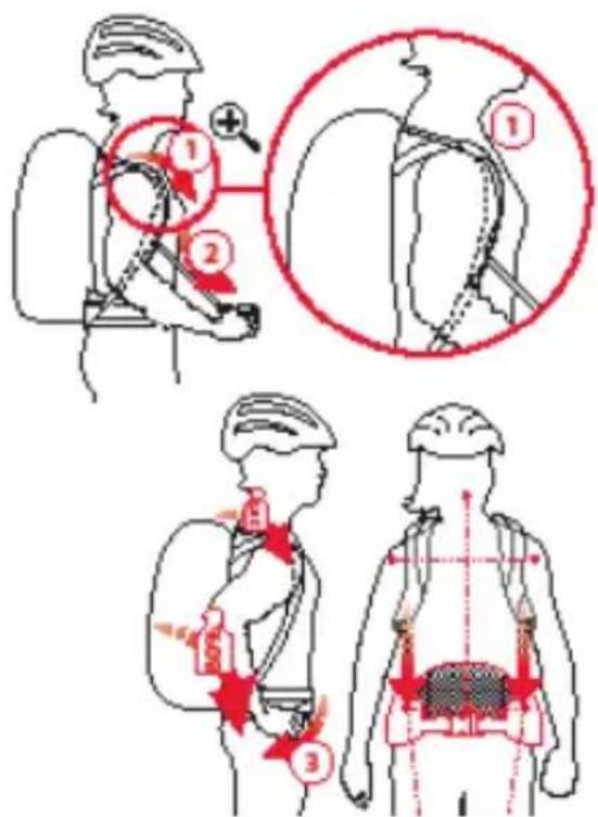 Diagram illustrating human backrest and thoracic anatomy with labeled steps and corresponding illustrations