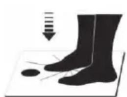 ECG OV 128 - APKOPE UN TIRISHANA - 1