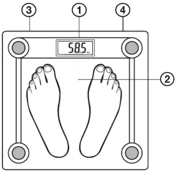 ECG OV 128 - POPIS / POPIS / OPIS / A KÉSZÜLEK RÉSZEI / BESCHREIBUNG / DESCRIPTION / OPIS / OPIS / OPIS / DESCRIPTION / DESCRIZIONE / DESCRIPCIón / KIRJELDUS / APRAŠYMAS / APRAKSTS - 1