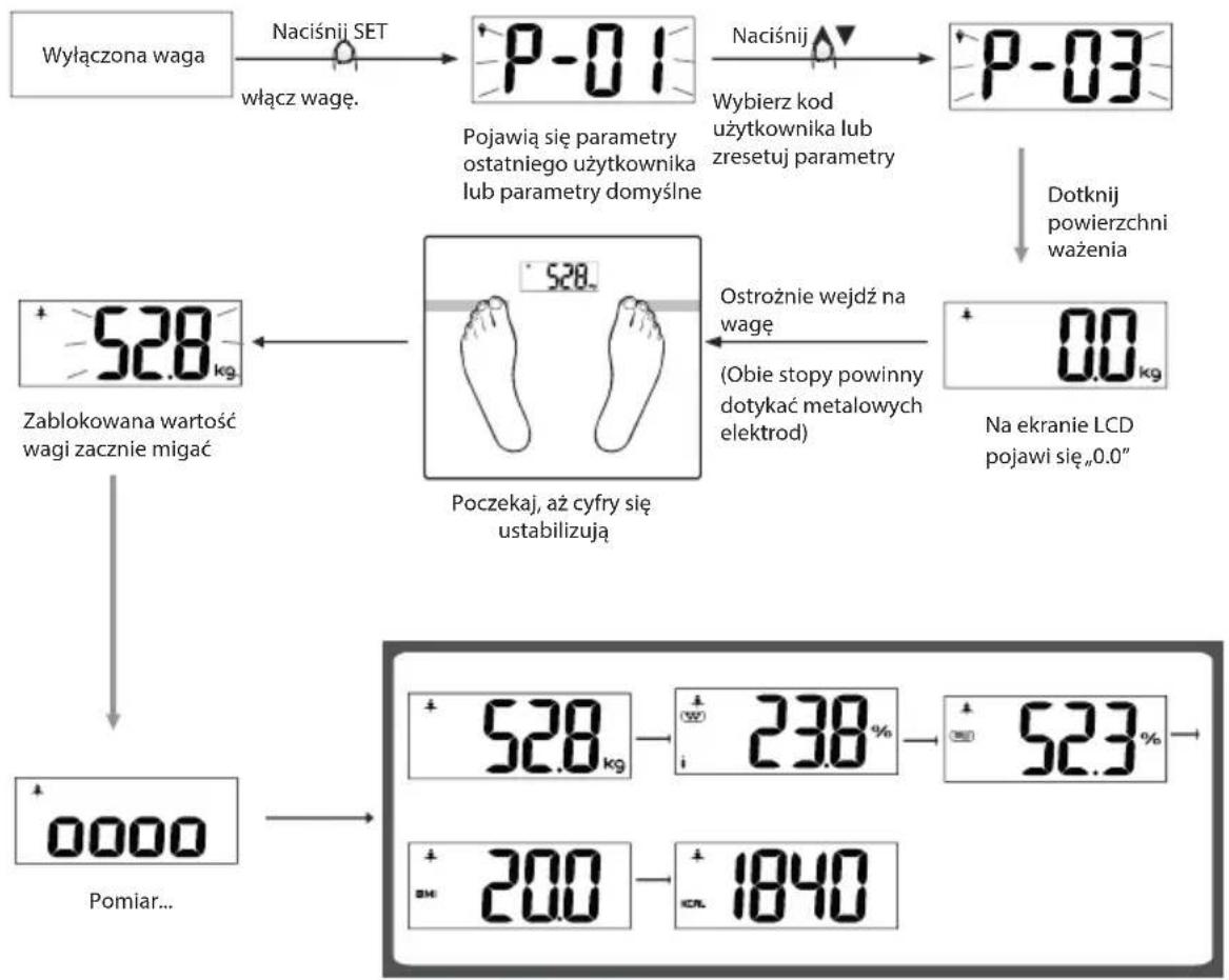 ECG OV 126 - Pomiar danych fizycznych - 1