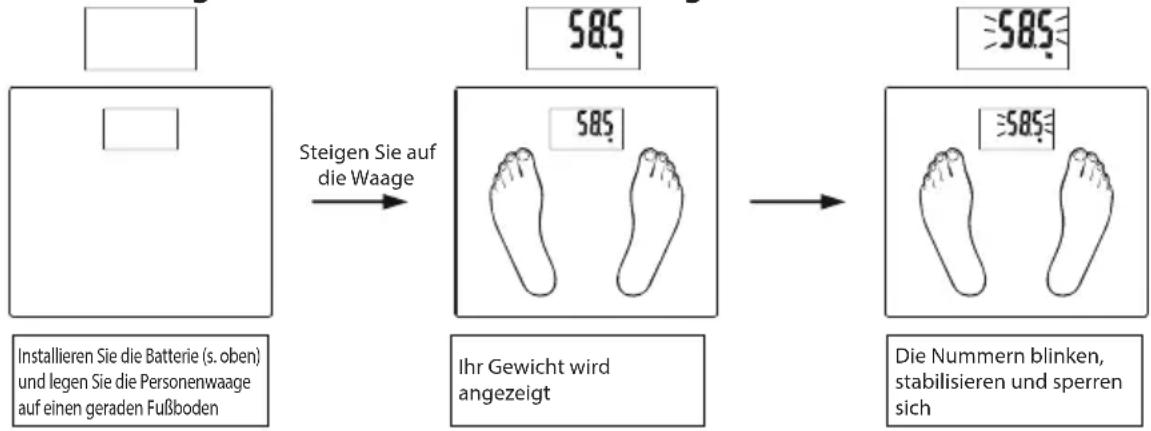 ECG OV 126 - Grundlegende Gewichtsmessung (ohne eingestellte Parameter) - 1