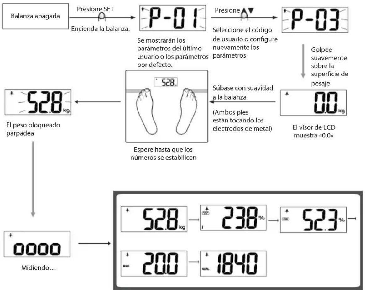 ECG OV 126 - medición de los datos físicos - 1