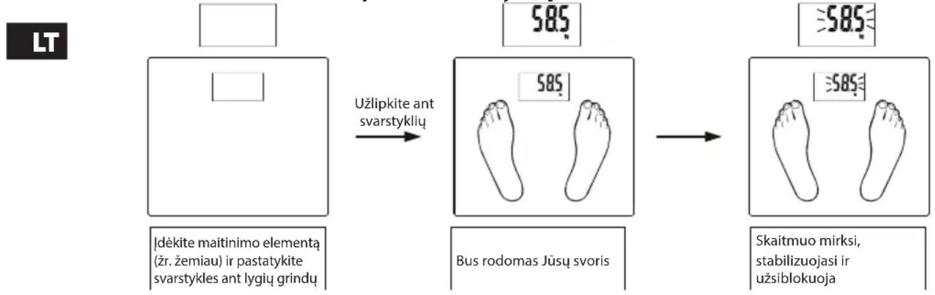 ECG OV 126 - Automatinis svorio matavimas (Be parametrų nustatymo) - 1