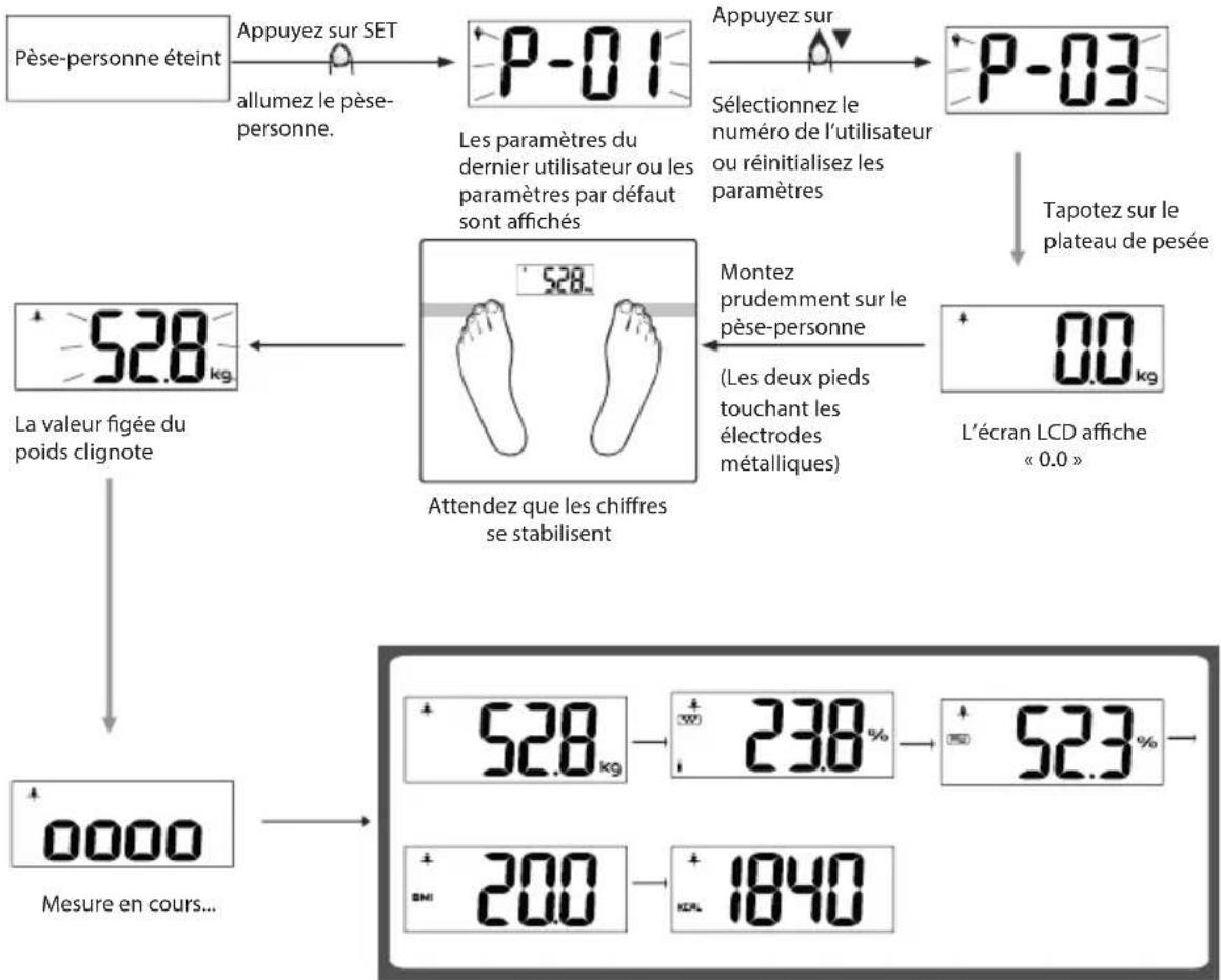 ECG OV 126 - Mesure des données corporelles - 1