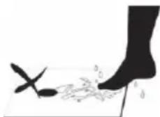 ECG OV 126 - Korduskaalumine - 2