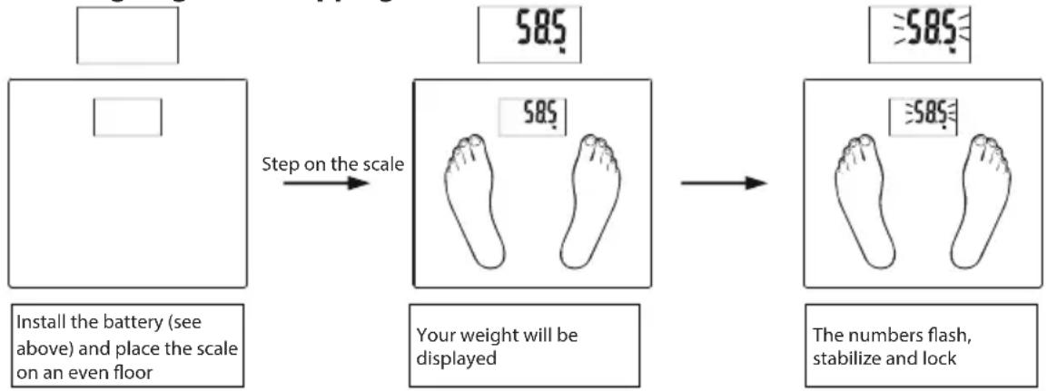 ECG OV 126 - Automatic weight measurement (Without parameters setting) - 1