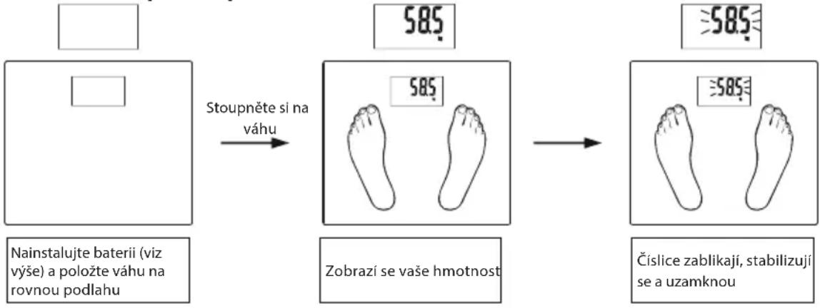 ECG OV 126 - Základní měření hmotnosti (Bez nastavení parametrů) - 1