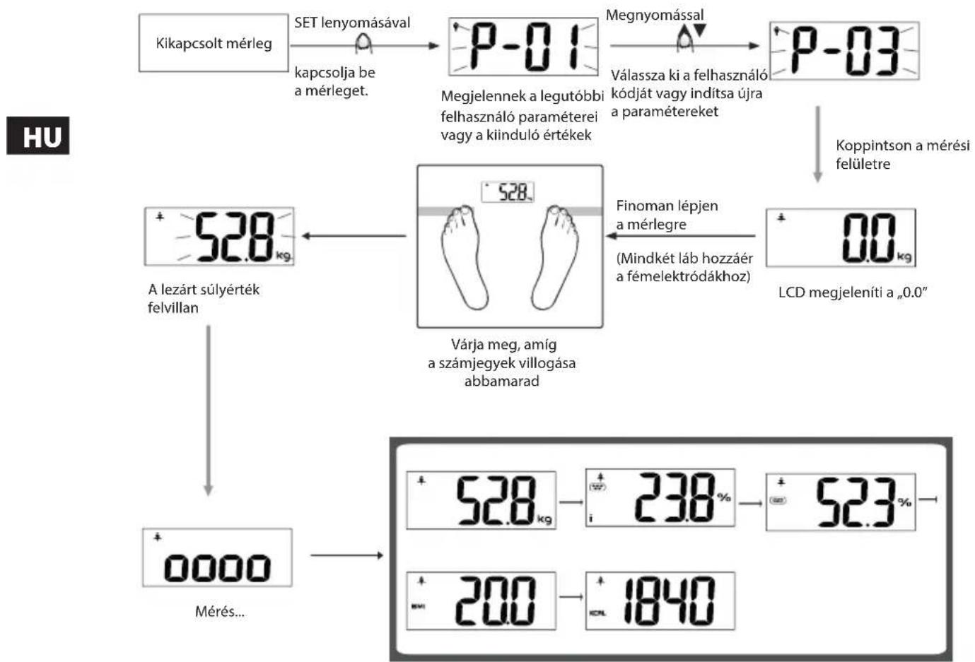 ECG OV 126 - A testadatok mérése - 1