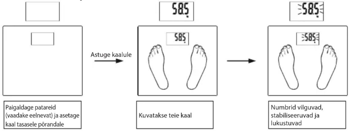 ECG OV 126 - Kaalu automaatne möötmine (Ilma parameetrite seadistamiseta) - 1