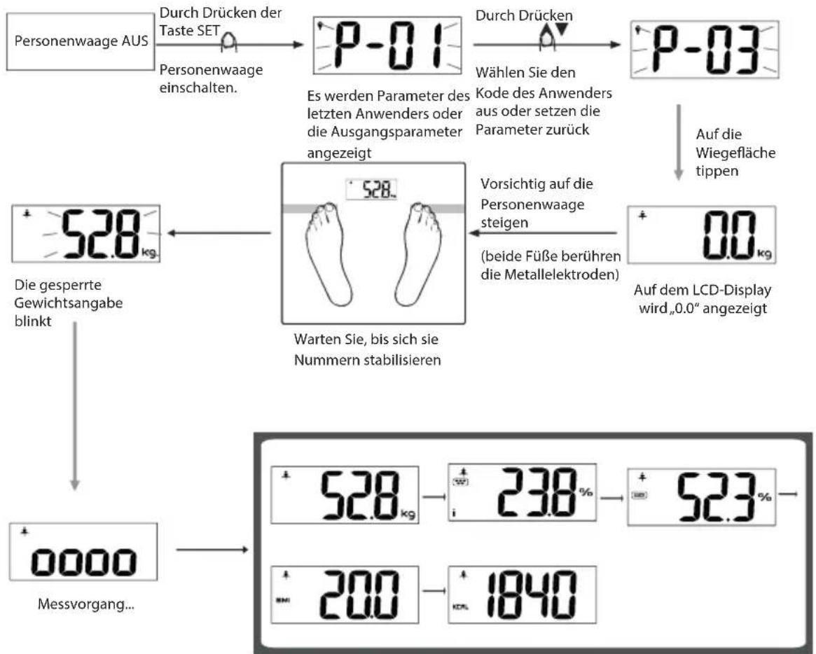 ECG OV 126 - Messen körperlicher Angaben - 1