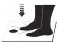 ECG OV 126 - LIMPIEZA Y MANTENIMIENTO - 1