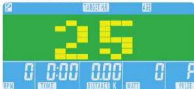 Reebok ZJET 460 - H.R.C. (Heart Rate Control) (Controllo do Ritmo cardiaco) - 1