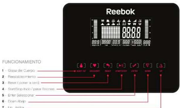 Reebok ZR10F - BODY FAT - 1