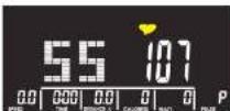 Reebok ZR10F - PULSKONTROLL - 2