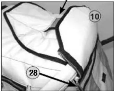 HARTAN Yes - Hood and safety bar - 2
