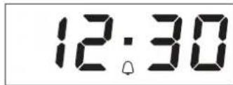 PRIVILEG PHVR6 OH5V2 IN - SETTING THE TIMER - 2