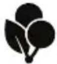 Cherry MW 2100 - (IS)耕藥 - 6
