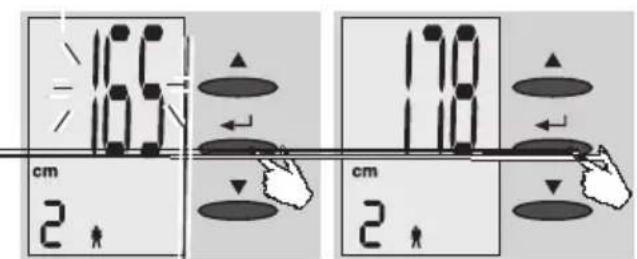 EXACTA FW3 - Entrada de datos - 3